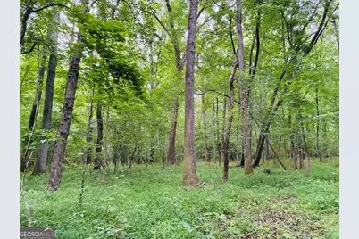 0 Caldwell Road #TRACT B1, Gay, GA 30218 - Photo 30