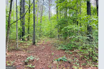 0 Caldwell Road #TRACT B1, Gay, GA 30218 - Photo 26