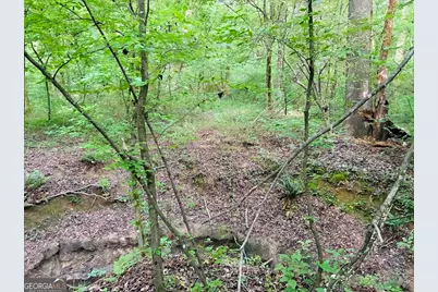 0 Caldwell Road #TRACT B1, Gay, GA 30218 - Photo 18