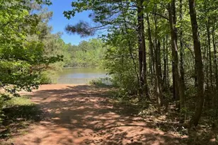 19 Chatham Ct, Williamson, GA 30292 - Photo 56