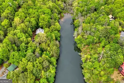 354 Kaely Drive, Mineral Bluff, GA 30559 - Photo 62