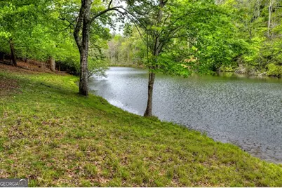 354 Kaely Drive, Mineral Bluff, GA 30559 - Photo 58