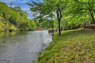 354 Kaely Dr, Mineral Bluff, GA 30559 - Photo 54