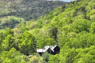 46 Cochise Road, Blue Ridge, GA 30513 - Photo 64