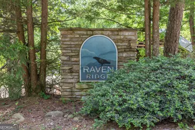 L 15&amp;16 Raven Ridge Circle, Mineral Bluff, GA 30559 - Photo 4