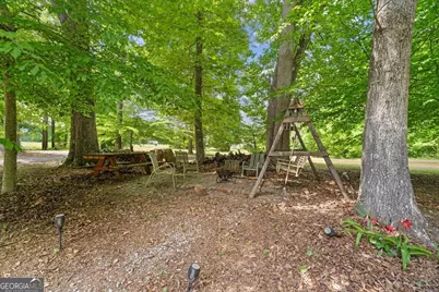 393 Blue Mountain Lane, Trion, GA 30753 - Photo 32