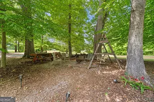 393 Blue Mountain Ln, Trion, GA 30753 - Photo 32