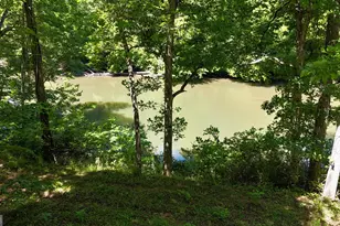 467 Old River Rd, Cornelia, GA 30531 - Photo 62