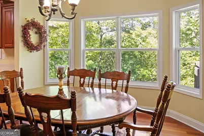467 Old River Road, Cornelia, GA 30531 - Photo 14
