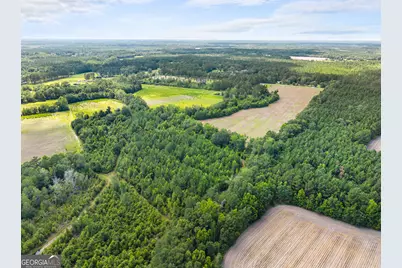 0 Fabled Lane #LOT 5, Pembroke, GA 31321 - Photo 4