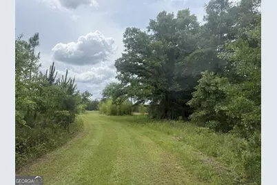 50 Harvest Road, Coleman, GA 39836 - Photo 16