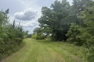50 Harvest Rd, Coleman, GA 39836 - Photo 16