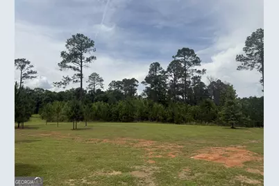 50 Harvest Road, Coleman, GA 39836 - Photo 18