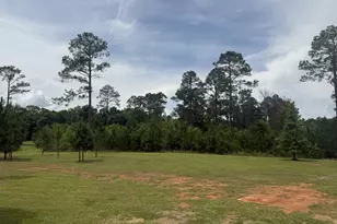 50 Harvest Rd, Coleman, GA 39836 - Photo 18