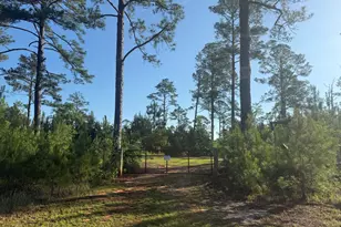 50 Harvest Rd, Coleman, GA 39836 - Photo 2