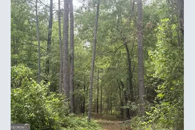 50 Harvest Road, Coleman, GA 39836 - Photo 8