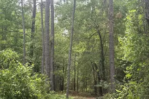 50 Harvest Rd, Coleman, GA 39836 - Photo 8
