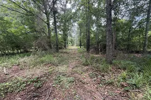 50 Harvest Rd, Coleman, GA 39836 - Photo 20