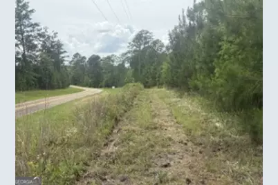 50 Harvest Road, Coleman, GA 39836 - Photo 6