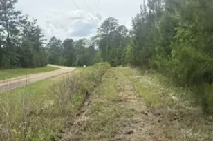 50 Harvest Rd, Coleman, GA 39836 - Photo 6