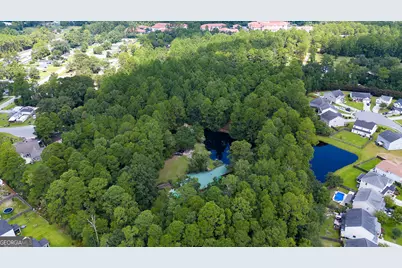 1335 Pine Barren Road, Pooler, GA 31322 - Photo 2
