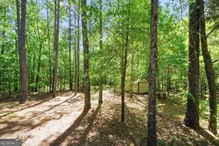 1022 Miss Amber Way, Locust Grove, GA 30248 - Photo 52