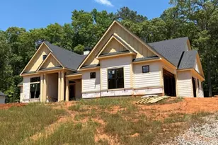 Lot 194 Northshore At Redwine Dr, Newnan, GA 30263 - Photo 2