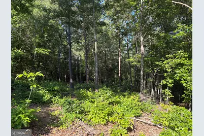 0 Anna Claire Court #LOT 11, Monticello, GA 31064 - Photo 8