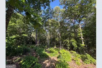 0 Anna Claire Court #LOT 11, Monticello, GA 31064 - Photo 12