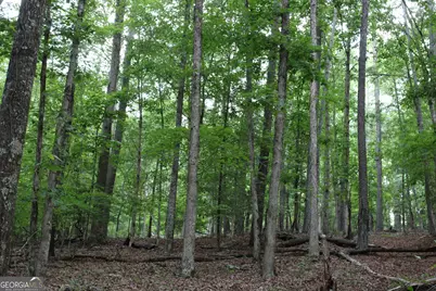 2 Mount Moriah Road, Auburn, GA 30011 - Photo 28