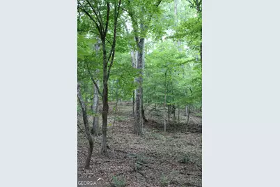 2 Mount Moriah Road, Auburn, GA 30011 - Photo 26