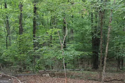 2 Mount Moriah Road, Auburn, GA 30011 - Photo 12
