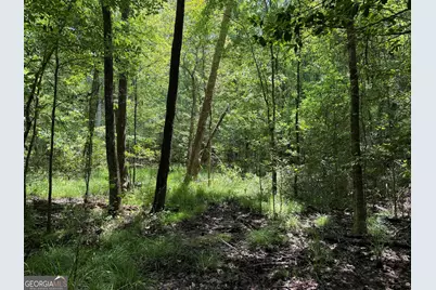 010 Long Branch Rd, Toomsboro, GA 31090 - Photo 4