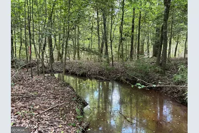 010 Long Branch Rd, Toomsboro, GA 31090 - Photo 2