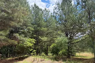 008 George Milling Rd, Toomsboro, GA 31090 - Photo 1