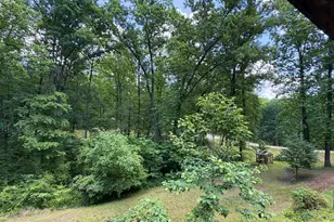 325 Fern Valley Trail, Clarkesville, GA 30523 - Photo 26