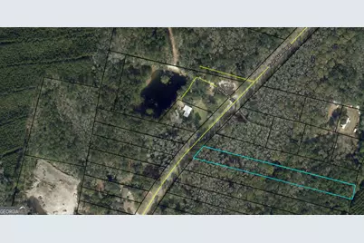 0 Youngman Road, Townsend, GA 31331 - Photo 6