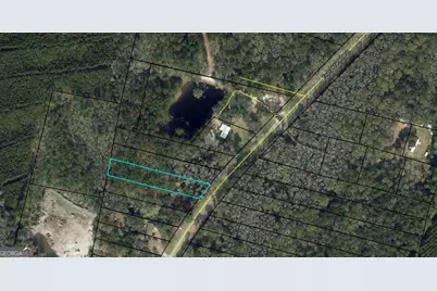 0 Youngman Road, Townsend, GA 31331 - Photo 2