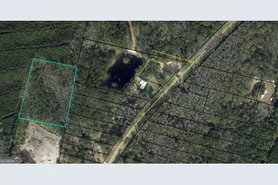 0 Youngman Road, Townsend, GA 31331 - Photo 8