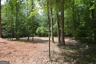 Lot 1 Murphy Hwy (Spur 60), Mineral Bluff, GA 30559 - Photo 14
