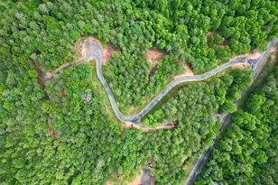 Lot 3 Murphy Hwy (Spur 60), Mineral Bluff, GA 30559 - Photo 14