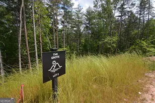 Lot 3 Murphy Hwy (Spur 60), Mineral Bluff, GA 30559 - Photo 12