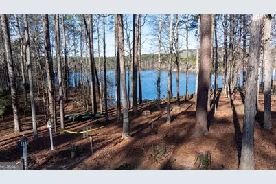 1003 Mickleton Lane, Peachtree City, GA 30269 - Photo 122