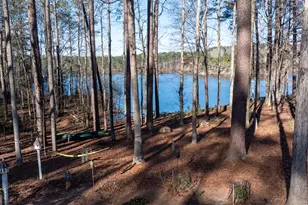 1003 Mickleton Ln, Peachtree City, GA 30269 - Photo 122