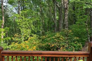 772 Double Knob Rd, Ellijay, GA 30540 - Photo 92