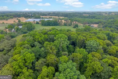 740 Cromers Bridge Road, Royston, GA 30662 - Photo 30