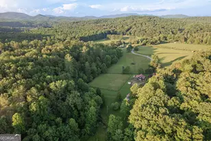 328 Black Ankle Creek Rd, Cherry Log, GA 30522 - Photo 8