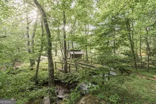 328 Black Ankle Creek Rd, Cherry Log, GA 30522 - Photo 90
