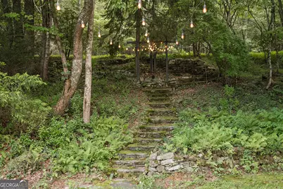 328 Black Ankle Creek Road, Cherry Log, GA 30522 - Photo 60