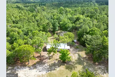 110 Douglas Loop, Rocky Ford, GA 30455 - Photo 4